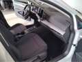 Volkswagen Golf VIII 1.5 eTSI Life DSG RFK IDA Anschlussgar Weiß - thumbnail 4