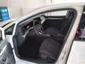 Volkswagen Golf VIII 1.5 eTSI Life DSG RFK IDA Anschlussgar Weiß - thumbnail 7