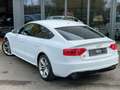 Audi S5 3.0 V6 TFSI Quattro S tronic 333CH *** ALCANTARA Blanc - thumbnail 18