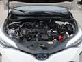 Toyota C-HR C-HR I 2020 1.8h Business e-cvt - Prezzo vero Bianco - thumbnail 13