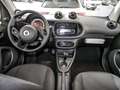 smart forTwo EQ  22KW Weiß - thumbnail 10