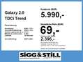 Ford Galaxy 2.0 TDCi Trend *STANDH*KLIMAAUT*SHZ*PDC* Срібний - thumbnail 4