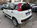 Fiat Panda 4X4 - Autocarro 2 Posti N1 - Bianco - thumbnail 8
