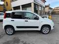 Fiat Panda 4X4 - Autocarro 2 Posti N1 - Bianco - thumbnail 5