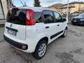Fiat Panda 4X4 - Autocarro 2 Posti N1 - Bianco - thumbnail 10