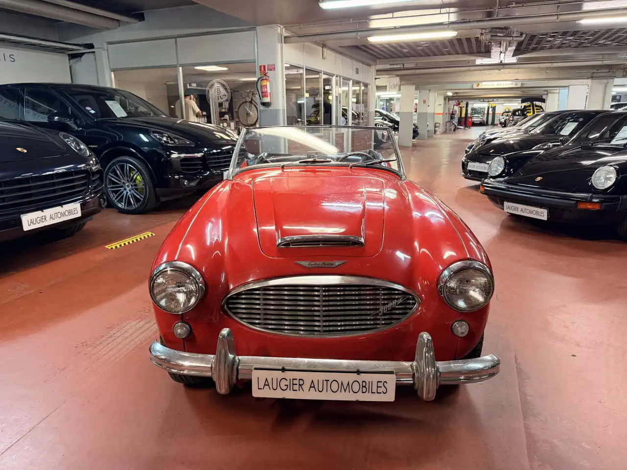 Austin-Healey 3000 AUSTIN HEALEY BN7, foto 6