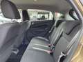 Ford Fiesta 1.0 EcoBoost Powershift SYNC Edition Marrone - thumbnail 11