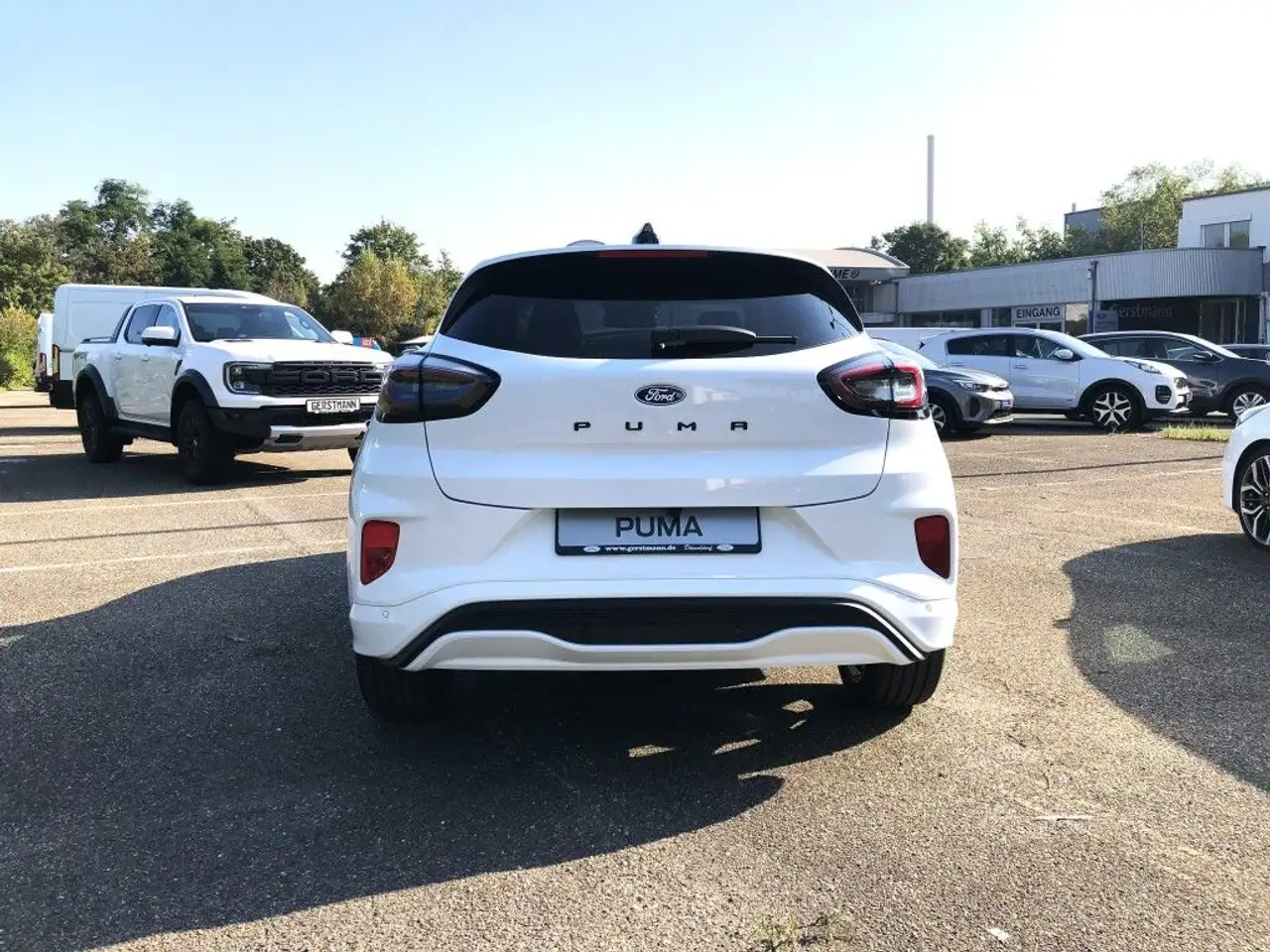 Ford Puma 1.0 EcoBoost Hybrid Aut. ST-LINE AHK Panoramadach, миниатюра 6
