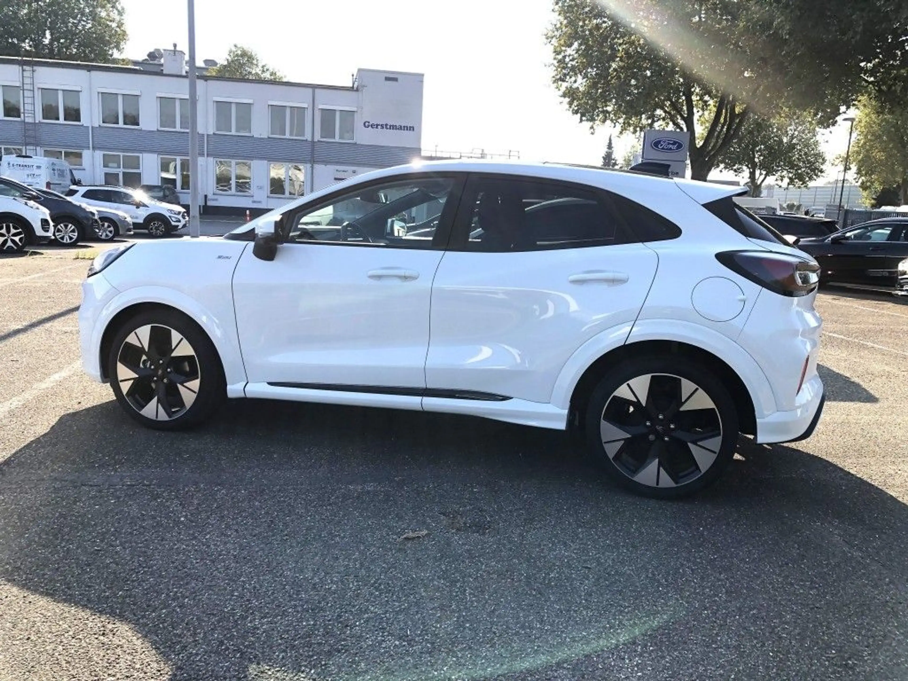 Ford Puma 1.0 EcoBoost Hybrid Aut. ST-LINE AHK Panoramadach — photo 8