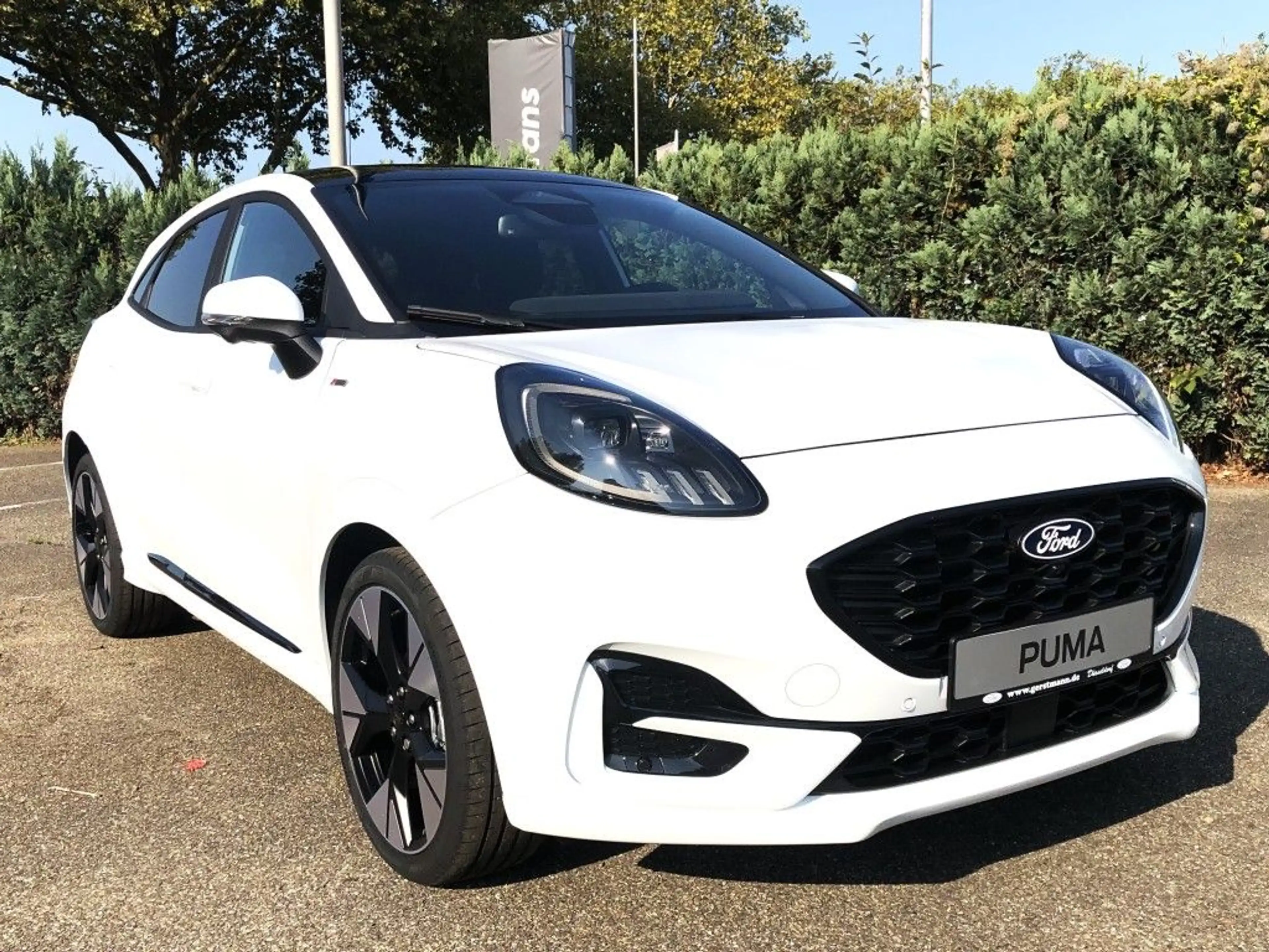 Ford Puma 1.0 EcoBoost Hybrid Aut. ST-LINE AHK Panoramadach — photo 3