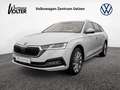 Skoda Octavia Combi 2.0 TDI DPF Style DSG AHK ACC P Weiß - thumbnail 1