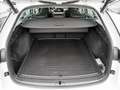 Skoda Octavia Combi 2.0 TDI DPF Style DSG AHK ACC P Weiß - thumbnail 15