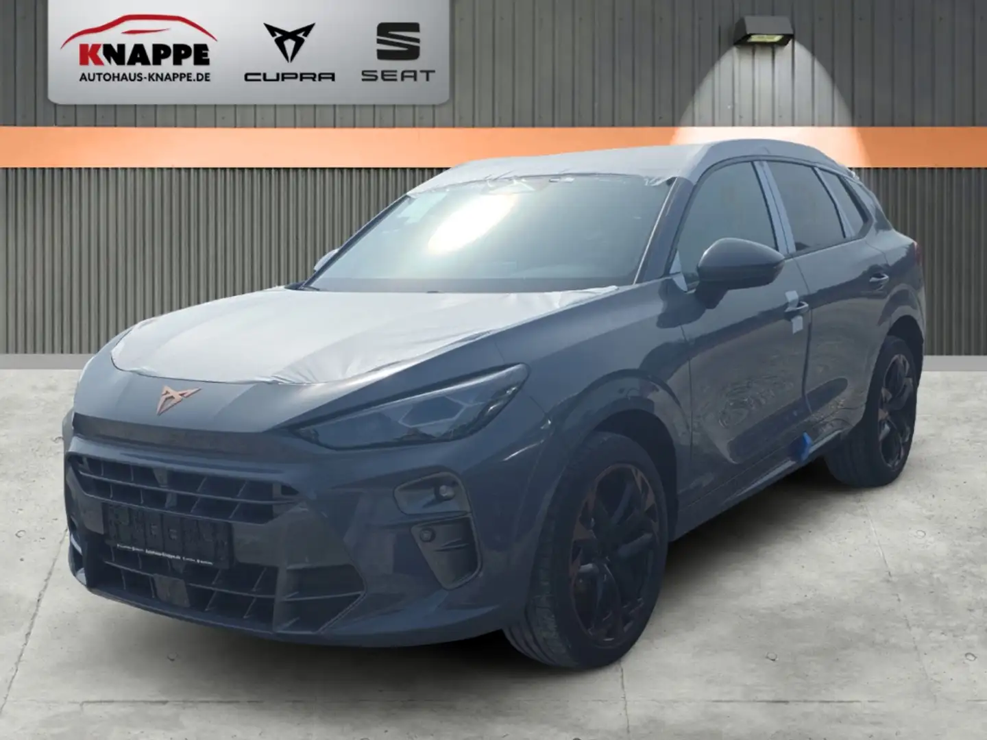 CUPRA Terramar 2.0 TSI 195 kW 4Drive VZ Akebono HD-Matrix PAnoram Grau - 1