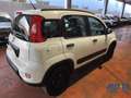 Fiat Panda Panda 1.3 MJT 95 CV S&S 4x4 Blanc - thumbnail 10