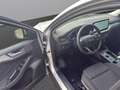 Ford Focus Focus Turnier 1,5 EcoBlue Titanium X Aut. Silber - thumbnail 10