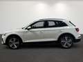 Audi Q5 35 TDI BusiPaket Matrix B&O Weiß - thumbnail 7