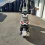 Piaggio Beverly 400 Bianco - thumbnail 2