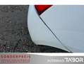 Renault Twingo 1.2 16V 75 LEV Klang & Klima-Paket CD MP3 Weiß - thumbnail 14