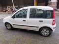 Fiat Panda 1.2 8V Dynamic, 60ps, Fahrbereit Weiß - thumbnail 4