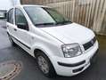 Fiat Panda 1.2 8V Dynamic, 60ps, Fahrbereit Weiß - thumbnail 1