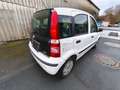 Fiat Panda 1.2 8V Dynamic, 60ps, Fahrbereit Weiß - thumbnail 6