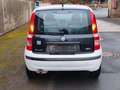 Fiat Panda 1.2 8V Dynamic, 60ps, Fahrbereit Weiß - thumbnail 7