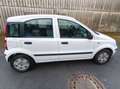 Fiat Panda 1.2 8V Dynamic, 60ps, Fahrbereit Weiß - thumbnail 5