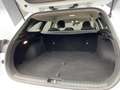 Kia Ceed / cee'd Sportswagon Vision 1.0T Kamera SitzHzg. Blanc - thumbnail 12