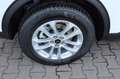 Ford Kuga Titanium 2.5 Plug-in-Hybrid 4,99% FIN* AHK Weiß - thumbnail 3