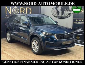 Ambition 2.0 TDI DSG Kamera/AHK/7-Sitzer Ambition