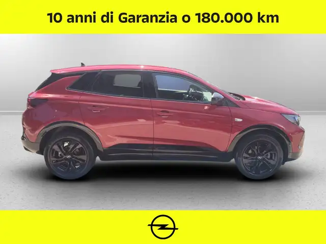 Opel Grandland X view 9