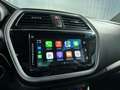 Suzuki S-Cross 1.4 Boosterjet AllGrip High Executive Automaat | L Gris - thumbnail 20