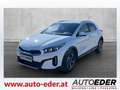 Kia XCeed Xceed 1,0 TGDI GPF Silber Weiß - thumbnail 3