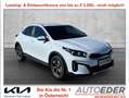 Kia XCeed Xceed 1,0 TGDI GPF Silber Weiß - thumbnail 1