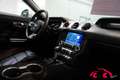 Ford Mustang MUSTANG GT CONVERTIBLE*NAVI*B&O*PREMIUM II*LED* bijela - thumbnail 13