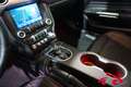 Ford Mustang MUSTANG GT CONVERTIBLE*NAVI*B&O*PREMIUM II*LED* Bílá - thumbnail 8
