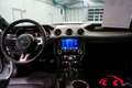 Ford Mustang MUSTANG GT CONVERTIBLE*NAVI*B&O*PREMIUM II*LED* Blanc - thumbnail 5