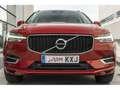 Volvo XC60 T8 Twin Momentum Rojo - thumbnail 19