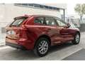 Volvo XC60 T8 Twin Momentum Rojo - thumbnail 20