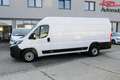 Fiat Ducato Ducato 35+ L4H2 BlueHDi 140 S&S Weiß - thumbnail 1