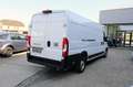 Fiat Ducato Ducato 35+ L4H2 BlueHDi 140 S&S Weiß - thumbnail 4