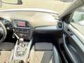 Audi Q5 *3.0TDI*Quattro*S LINE PLUS*LEDER*NAVI*XENON* Bianco - thumbnail 14