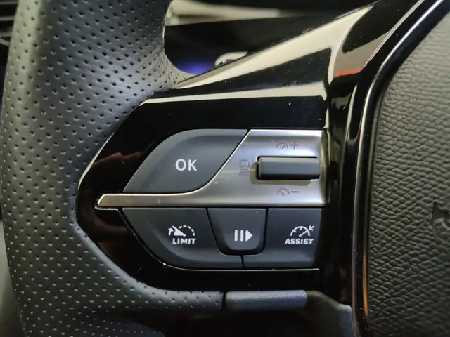 Peugeot 308 view 13