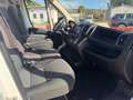 Fiat DUCATO L2H2 2.3MJT 140CV E6D-T   PREZZO+IVA Bianco - thumbnail 6
