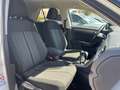 Volkswagen T-Roc Style 1.0 TSI 110CV Bianco - thumbnail 13
