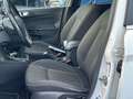 Ford Fiesta 5p 1.4 Titanium Gpl 95cv E6 Blanco - thumbnail 6