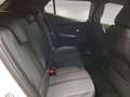 Peugeot 2008 II 2020 1.2 puretech Allure s&s 100cv Blanc - thumbnail 8