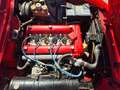 Alfa Romeo Spider 1600 Rot - thumbnail 26
