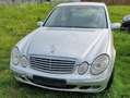 Mercedes-Benz E 220 E 220 CDI Elegance Argent - thumbnail 1