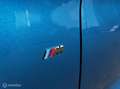 BMW X4 M40i High Executive Pano H&K Trekhk Maxton Head-Up Bleu - thumbnail 43